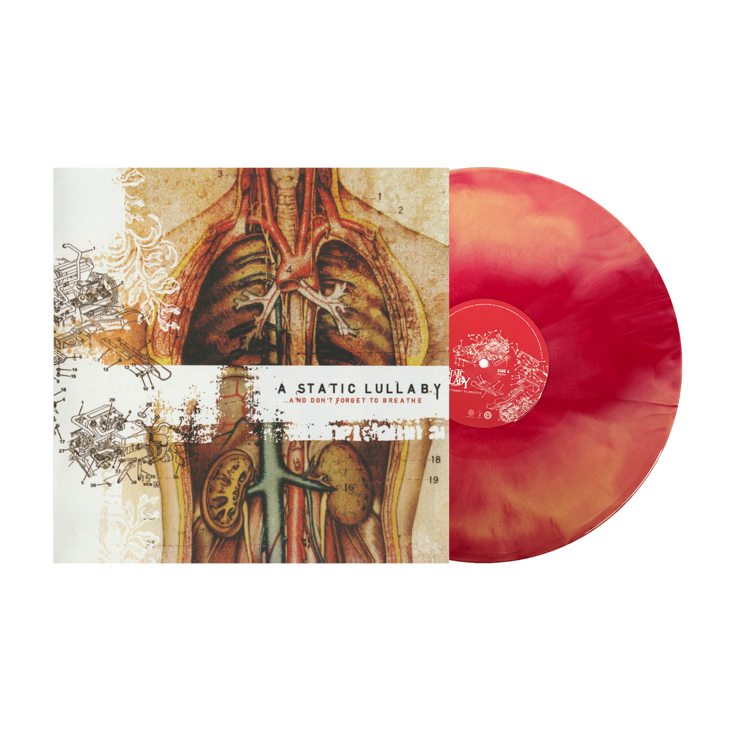 And Don't Forget To Breathe (Vinyl)